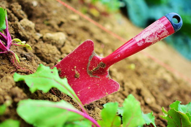 jardinerie-BARJOLS-min_gardening-2448134